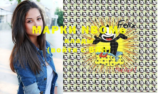 хмурый Алексин