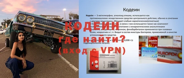 хмурый Алексин